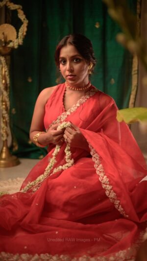 Kalkakari Embroidery On Organza Silk Saree